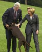 Bill Clinton's Threesome